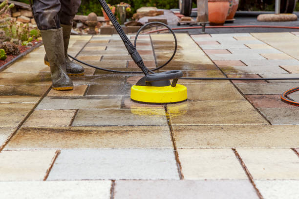 Animal Enclosure Cleaning in Benton Park, CA